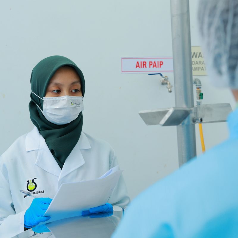 bina produk jenama sendiri